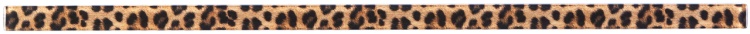 Фриз скляний Kotto Ceramica GFР 9025041 print41 25 х 900 х 8