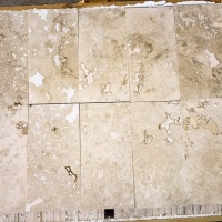 Плитка из травертина Light Filled and Honed 1,2х20,3х40,6 см, бежевая матовая заполненная шлифованная Standart 2-nd ch.