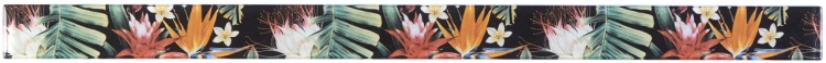 Фриз скляний Kotto Ceramica GFР 6050044 print44 50 х 600 х 8