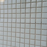 Стеклянная мозаика MK25101 WHITE