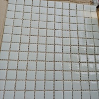 Стеклянная мозаика MK25101 WHITE