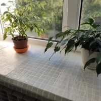 Стеклянная мозаика MK25101 WHITE